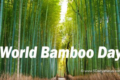 Celebrating Sustainability and Versatility: World Bamboo Day