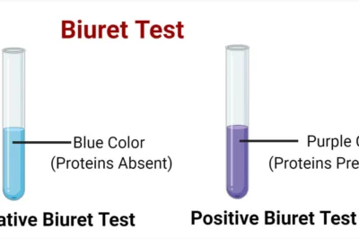 Biuret test